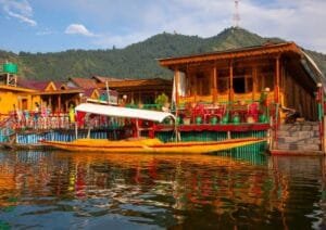 Shikara Ride in Kashmir